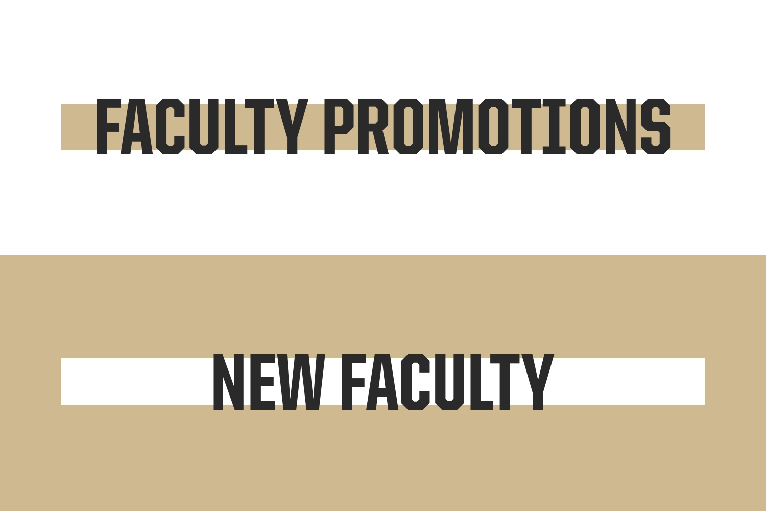 Text - Faculty Promotions and New Faculty